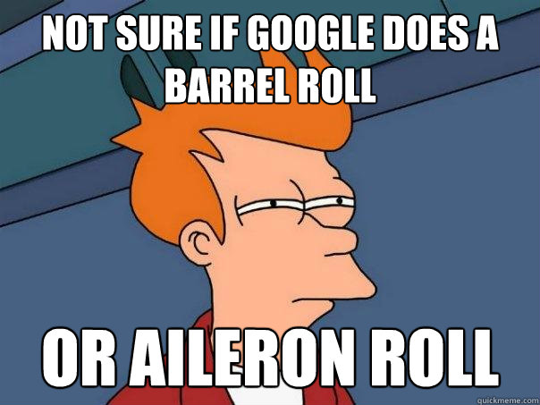 Not sure if google does a barrel roll or aileron roll  Futurama Fry