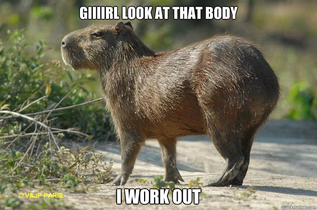 Giiiirl look at that body i work out  Capybara Swagger