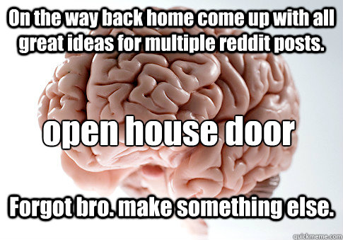 On the way back home come up with all great ideas for multiple reddit posts. Forgot bro. make something else. open house door  Scumbag Brain