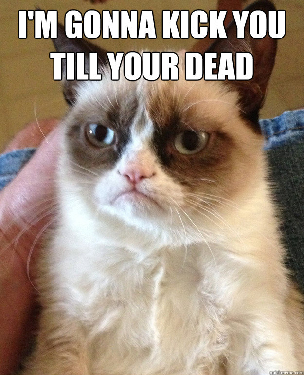 I'm gonna kick you till your dead   Grumpy Cat