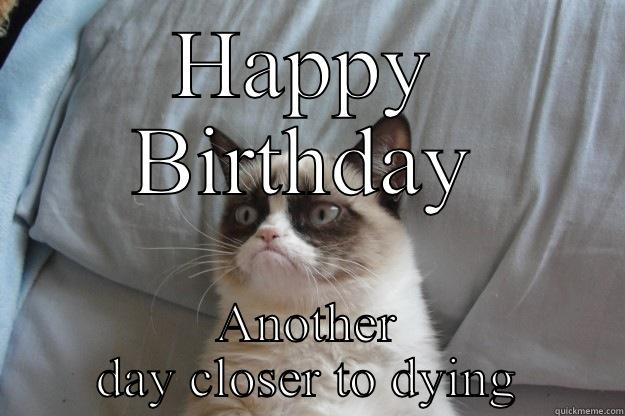 HAPPY BIRTHDAY ANOTHER DAY CLOSER TO DYING Grumpy Cat