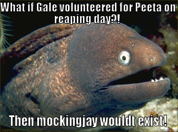 WHAT IF GALE VOLUNTEERED FOR PEETA ON REAPING DAY?!  THEN MOCKINGJAY WOULDT EXIST! Bad Joke Eel