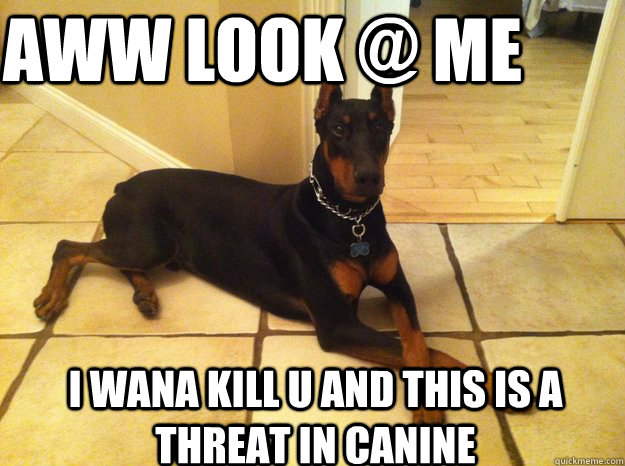 aww look @ me i wana kill u and this is a threat in canine - aww look @ me i wana kill u and this is a threat in canine  Misc