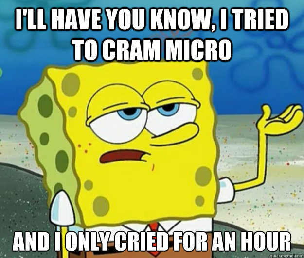 I'll have you know, I tried to cram micro And I only cried for an hour - I'll have you know, I tried to cram micro And I only cried for an hour  Tough Spongebob