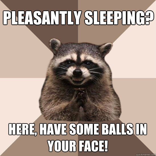 Pleasantly sleeping? here, HAVE SOME balls in your face! - Pleasantly sleeping? here, HAVE SOME balls in your face!  Evil Plotting Raccoon