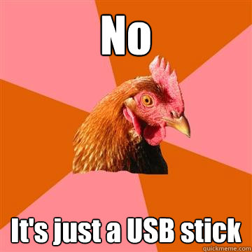 No It's just a USB stick  Anti-Joke Chicken