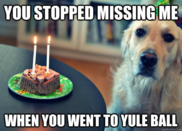 You stopped missing me when you went to Yule Ball  Sad Birthday Dog