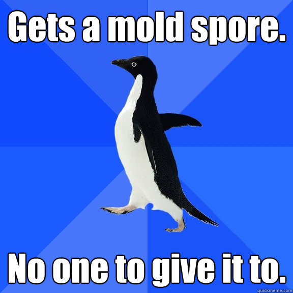 Gets a mold spore. No one to give it to.
 - Gets a mold spore. No one to give it to.
  Socially Awkward Penguin