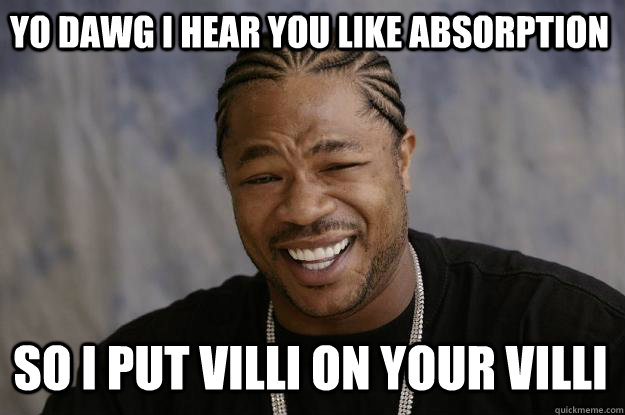 YO DAWG I HEAR YOU LIKE ABSORPTION so I PUT VILLI ON YOUR VILLI   Xzibit meme