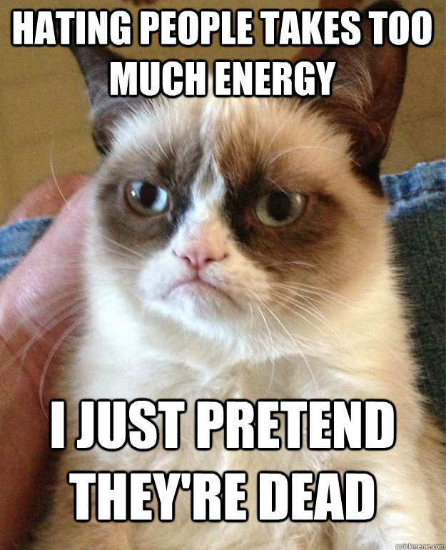 HATING PEOPLE TAKES TOO MUCH ENERGY I JUST PRETEND THEY'RE DEAD  Grumpy Cat