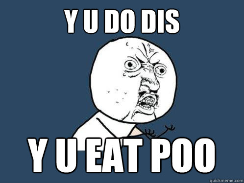 Y U DO DIs y u eat poo  Y U No