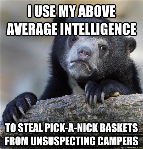 I use my above average intelligence to steal pick-a-nick baskets from unsuspecting campers  Confession Bear