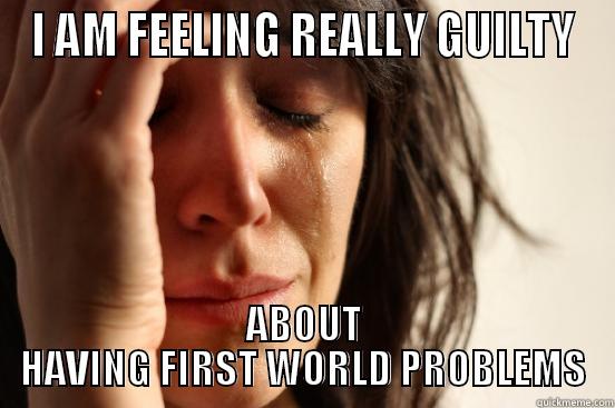 the ultimate first world problem - I AM FEELING REALLY GUILTY ABOUT HAVING FIRST WORLD PROBLEMS First World Problems