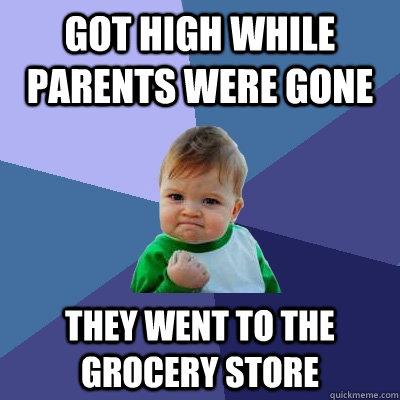 Got high while parents were gone they went to the grocery store  Success Kid