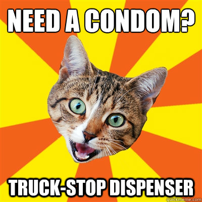 Need a condom?  Truck-stop dispenser - Need a condom?  Truck-stop dispenser  Bad Advice Cat