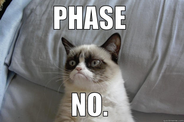 PHASE NO - PHASE NO. Grumpy Cat