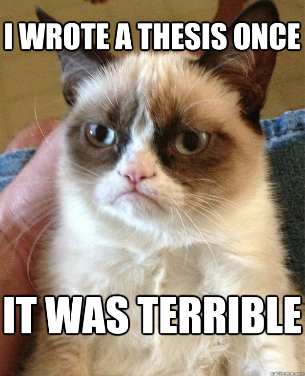 I wrote a thesis once it was terrible  Grumpy Cat