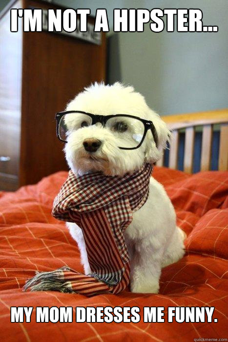 I'm not a hipster... My mom dresses me funny.   Hipster Dog