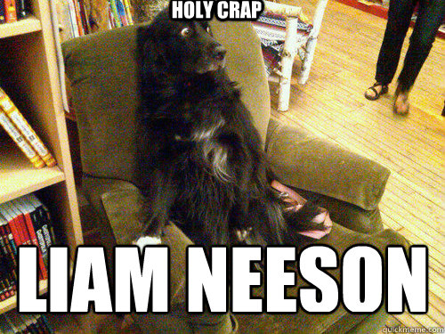 Holy Crap Liam Neeson - Holy Crap Liam Neeson  scared dog