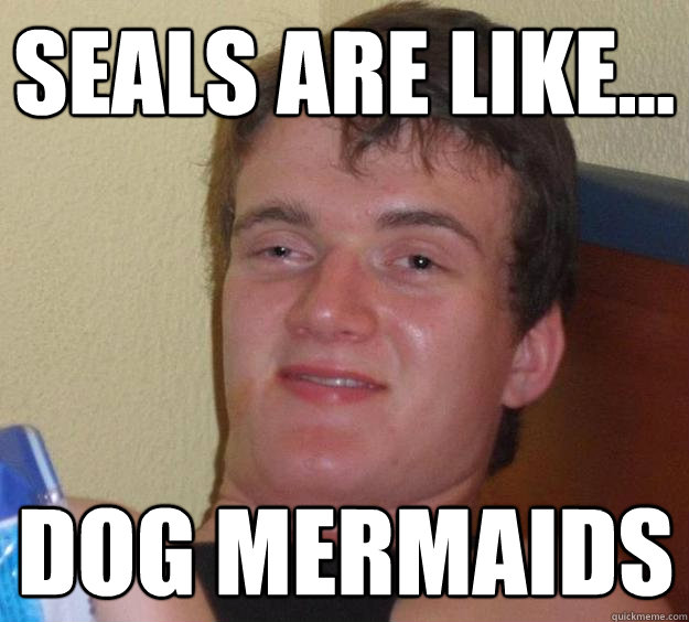 seals are like...  dog mermaids - seals are like...  dog mermaids  10 Guy