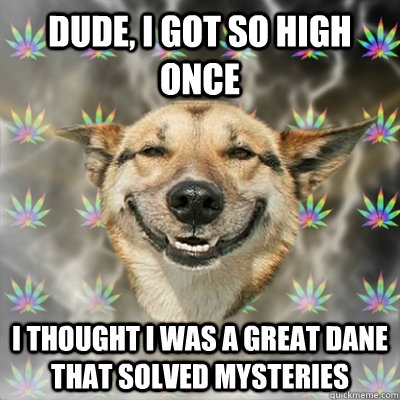 dude, I got so high once I thought I was a great dane that solved mysteries  Stoner Dog