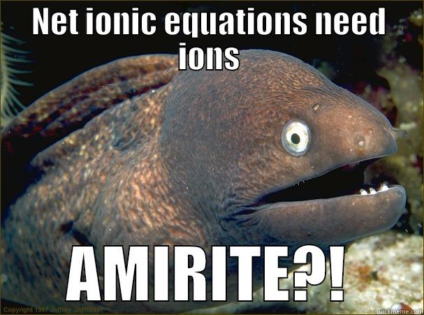 NET IONIC EQUATIONS NEED IONS AMIRITE?! Bad Joke Eel