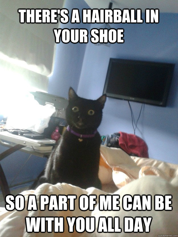 there's a hairball in your shoe so a part of me can be with you all day  overly attached cat