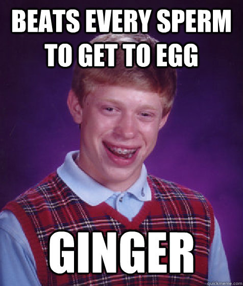 beats every sperm to get to egg ginger  Bad Luck Brian