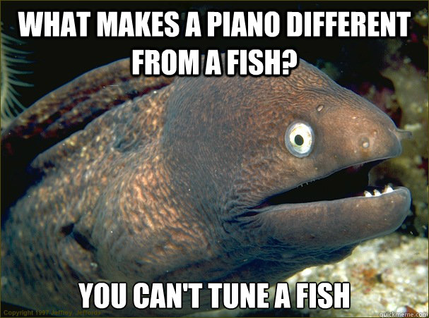 What makes a piano different from a fish? You can't Tune a fish - What makes a piano different from a fish? You can't Tune a fish  Bad Joke Eel