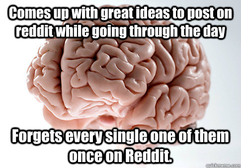 Comes up with great ideas to post on reddit while going through the day Forgets every single one of them once on Reddit.   Scumbag Brain