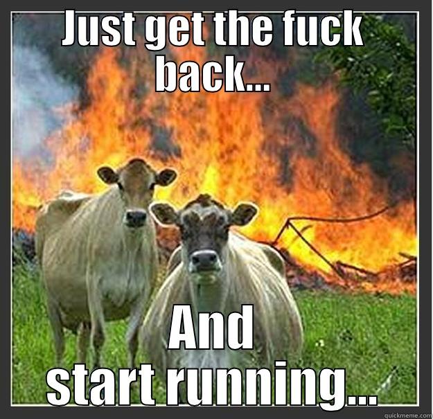 JUST GET THE FUCK BACK... AND START RUNNING... Evil cows