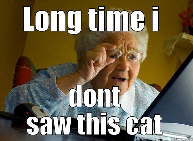 Granny shock - LONG TIME I  DONT SAW THIS CAT Grandma finds the Internet