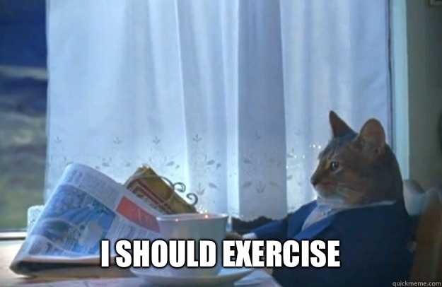 I SHOULD Exercise  Sophisticated Cat