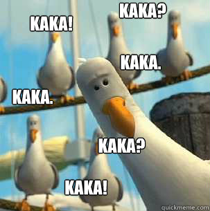 Kaka. Kaka? Kaka! Kaka. Kaka! kaka? - Kaka. Kaka? Kaka! Kaka. Kaka! kaka?  seagulls