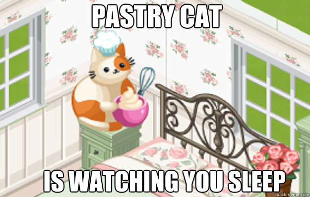 Pastry cat is watching you sleep - Pastry cat is watching you sleep  Pastry Cat