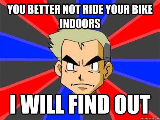 You better not ride your bike indoors I WILL find out  Professor Oak