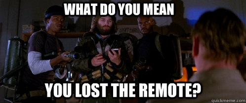 WHAT DO YOU MEAN YOU LOST THE REMOTE?  