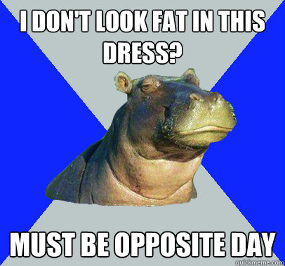 I don't look fat in this dress? Must be opposite day - I don't look fat in this dress? Must be opposite day  Skeptical Hippo