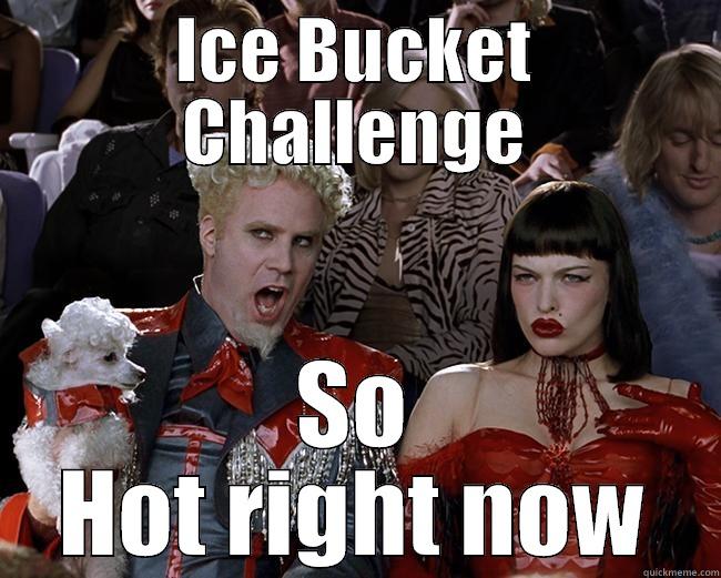 ICE BUCKET CHALLENGE SO HOT RIGHT NOW Misc