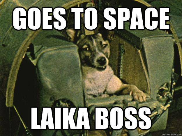 Goes to space Laika boss  