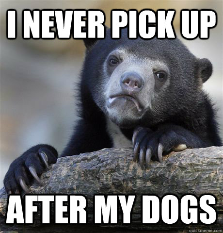 i never pick up  After my dogs  Confession Bear