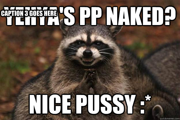 Yehya's pp naked? Nice pussy :* Caption 3 goes here - Yehya's pp naked? Nice pussy :* Caption 3 goes here  Evil Plotting Raccoon