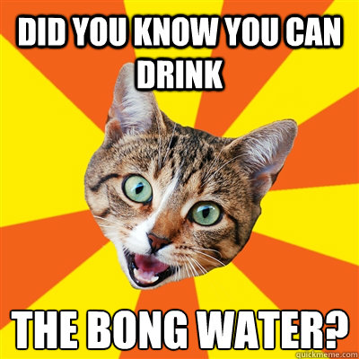 Did you know you can drink  the bong water?  Bad Advice Cat