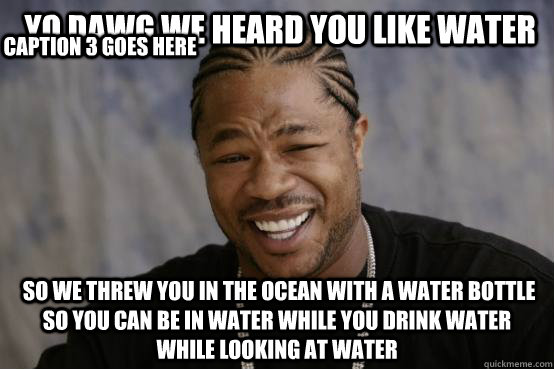  Yo dawg we heard you like water  so we threw you in the ocean with a water bottle so you can be in water while you drink water while looking at water Caption 3 goes here  YO DAWG