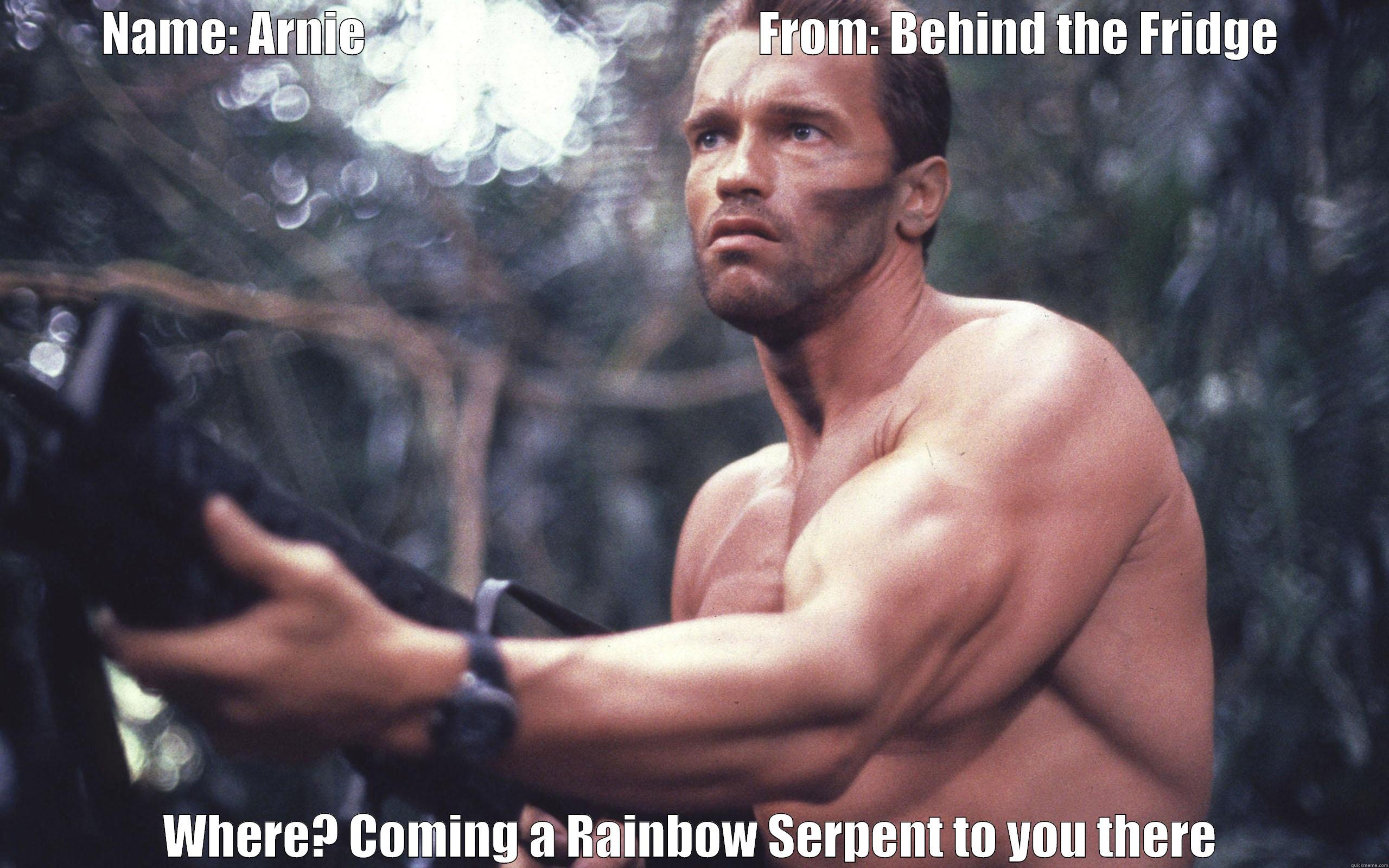 NAME: ARNIE                                         FROM: BEHIND THE FRIDGE WHERE? COMING A RAINBOW SERPENT TO YOU THERE Misc