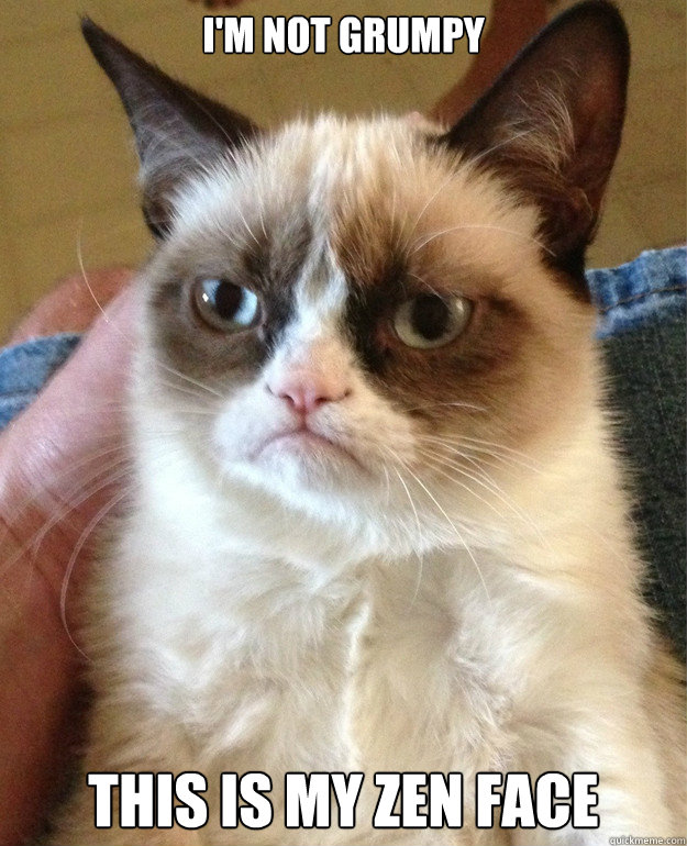 I'm not grumpy This is my zen face  Grumpy Cat