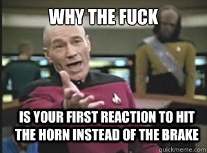 why the fuck is your first reaction to hit the horn instead of the brake  Annoyed Picard