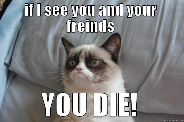 IF I SEE YOU AND YOUR FREINDS YOU DIE! Grumpy Cat