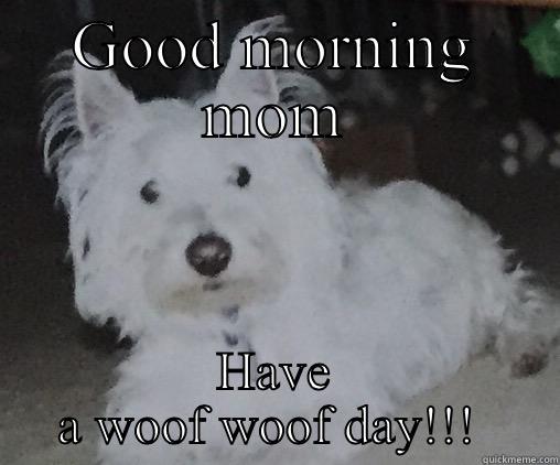 Quincy live  - GOOD MORNING MOM HAVE A WOOF WOOF DAY!!!  Misc