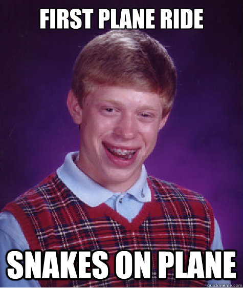 first plane ride snakes on plane - first plane ride snakes on plane  Bad Luck Brian